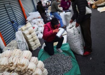 メキシコのインフレは2月に鈍化が見られる