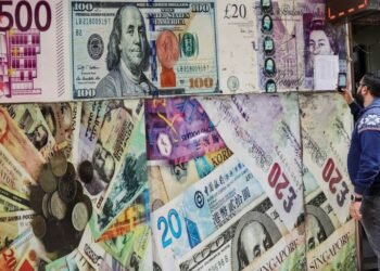 苦境にあるエジプト国民にとって、通貨切り下げは価格の痛みをもたらすことを約束する