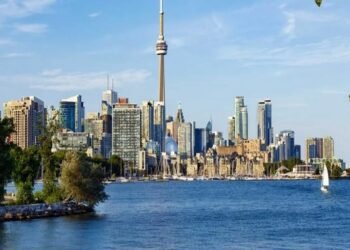 XTM Incは、取引停止命令を受けた理由と今後の対策について発表しました。取引停止命令は、2023年度の財務書類未提出が原因です。