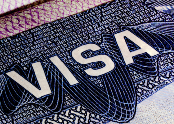 Visa Hub商業ソリューションハブが開始されました