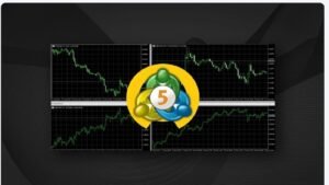 MT5アカウントをDarwinexにリンクして、取引履歴の詳細分析を活用し、戦略を最適化。移行で投資家の信頼も向上。