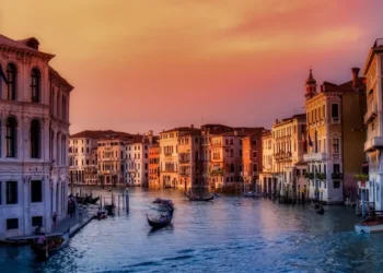 金融サービスの合法性を確認する方法