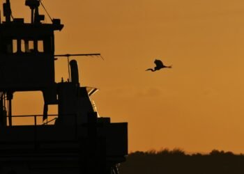 天然資源を守るため、ピューリッツ湾で異例の作戦が実行されました。放置艇問題と環境保護の最前線、そしてDNRの取り組みを紹介します。